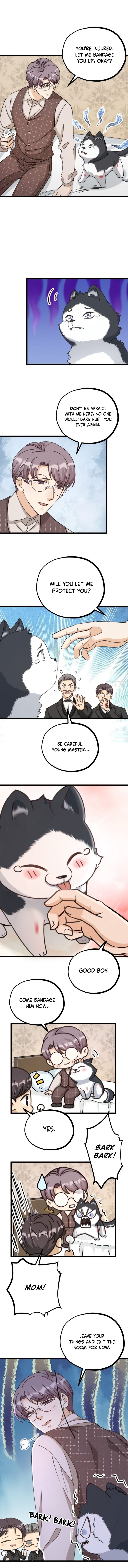 Page 3 of Chapter 38