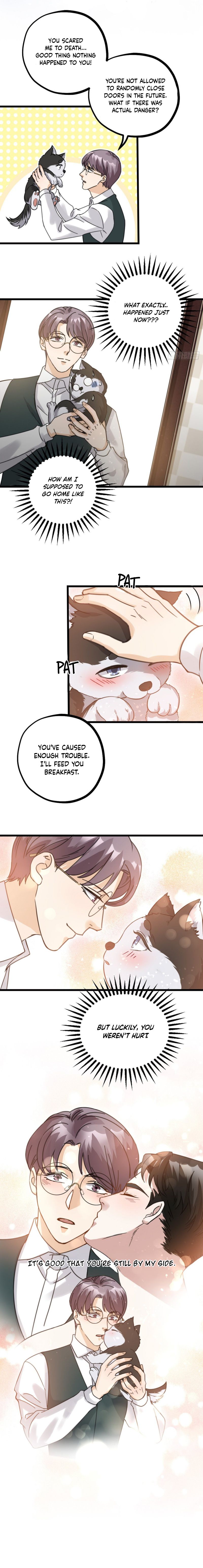 Page 4 of Chapter 41