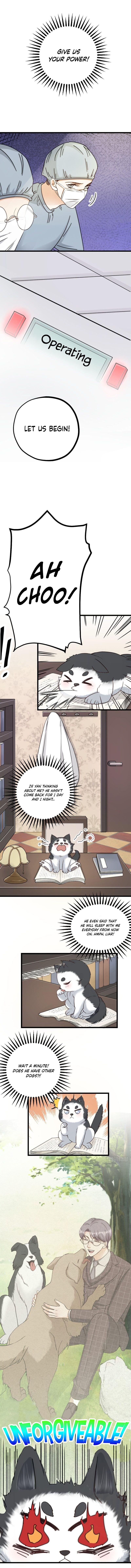 Page 4 of Chapter 44
