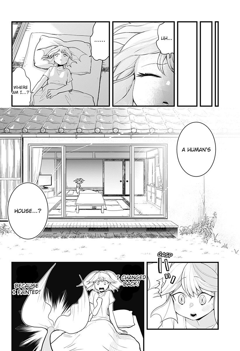 Page 4 of Chapter 49