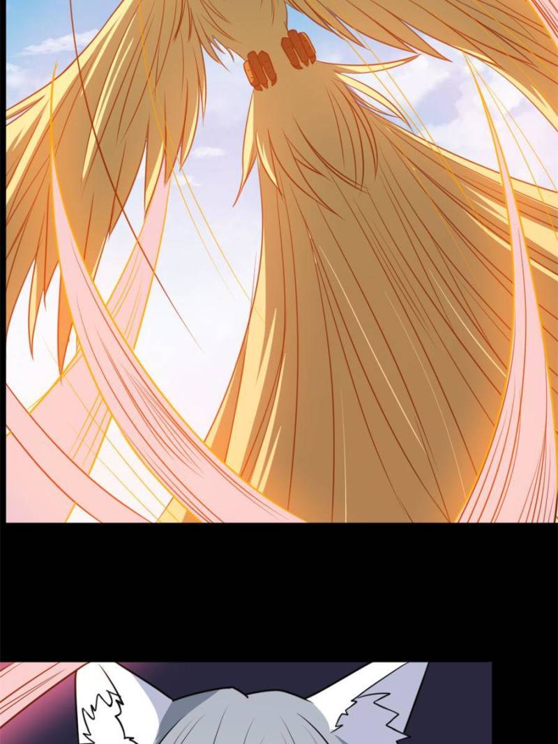 Page 43 of Chapter 165