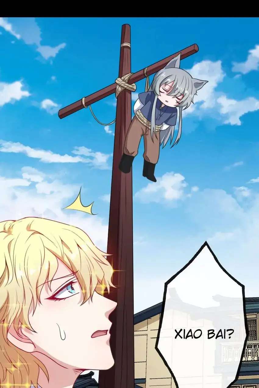 Page 68 of Chapter 172