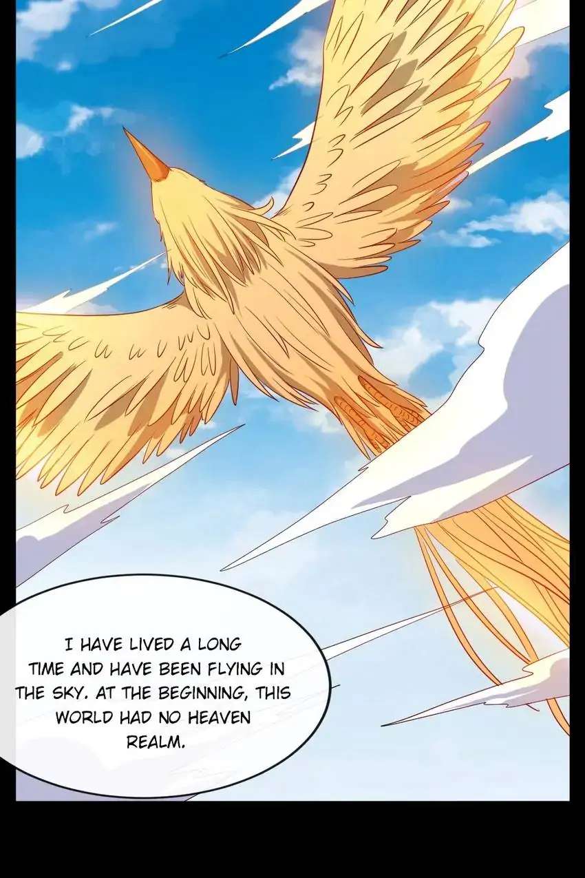 Page 19 of Chapter 177