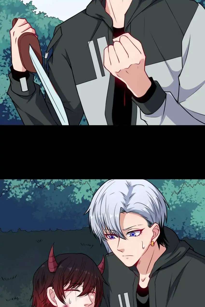 Page 41 of Chapter 177
