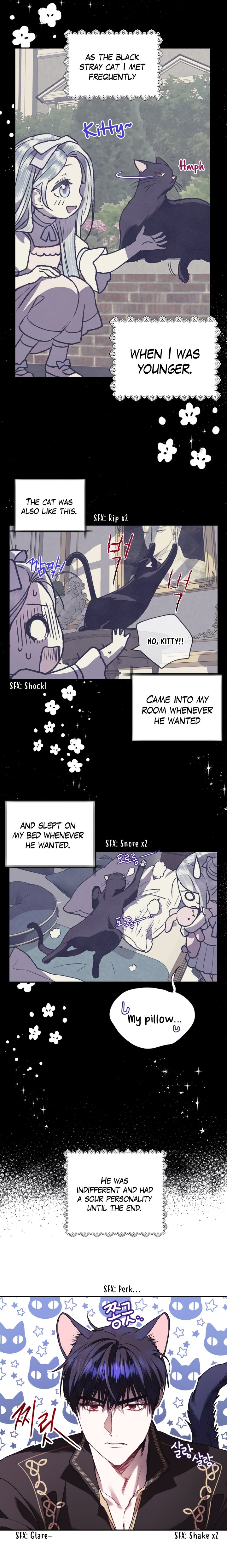 Page 13 of Chapter 12