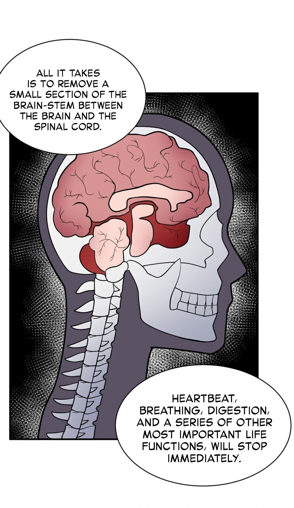Page 2 of Chapter 48.2