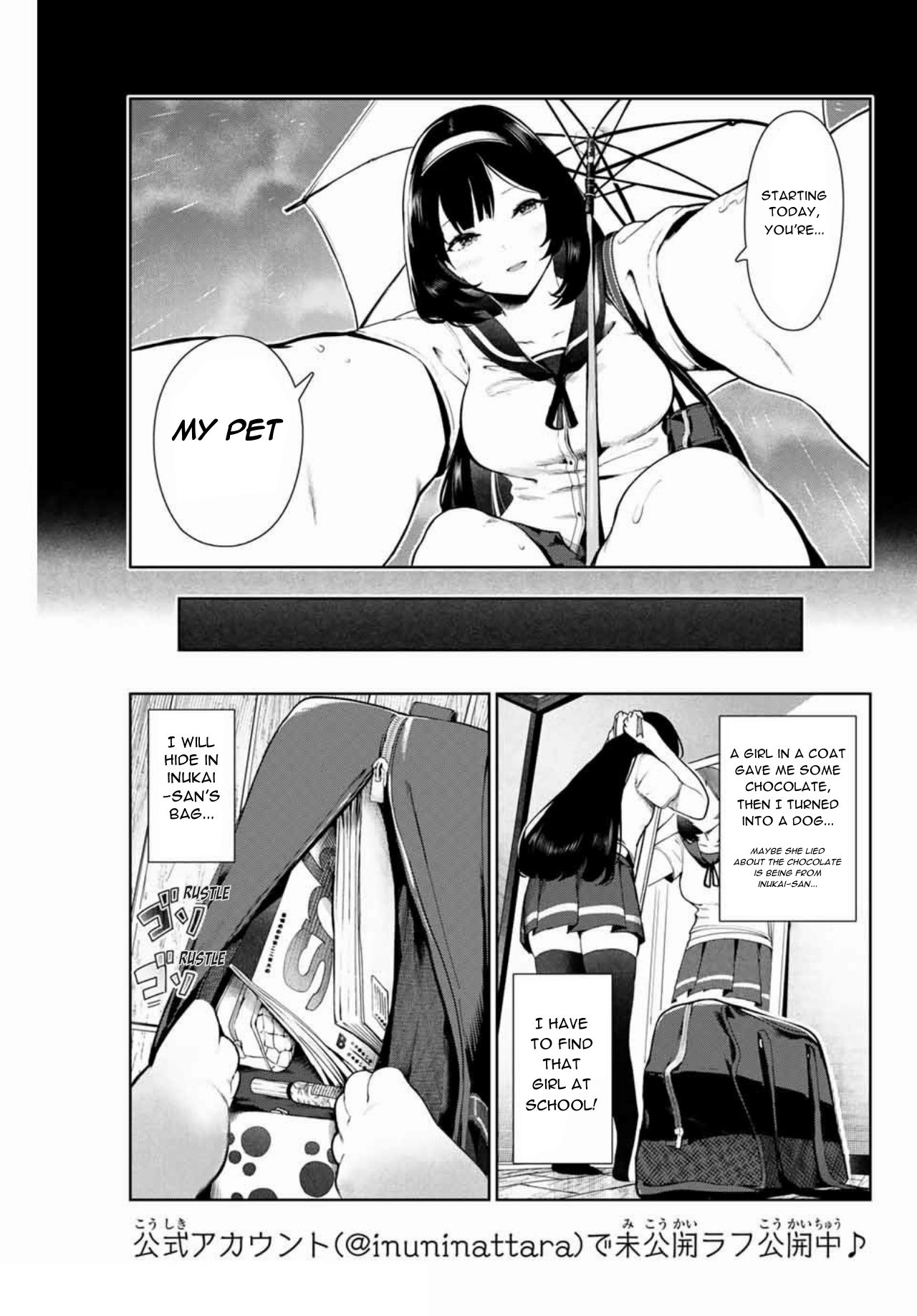 Page 3 of Chapter 11