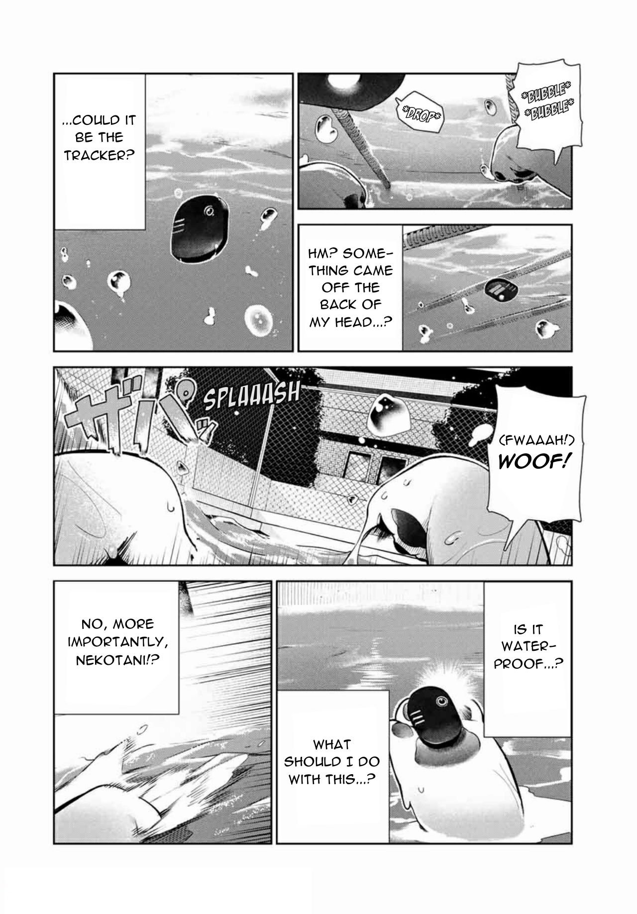 Page 6 of Chapter 14