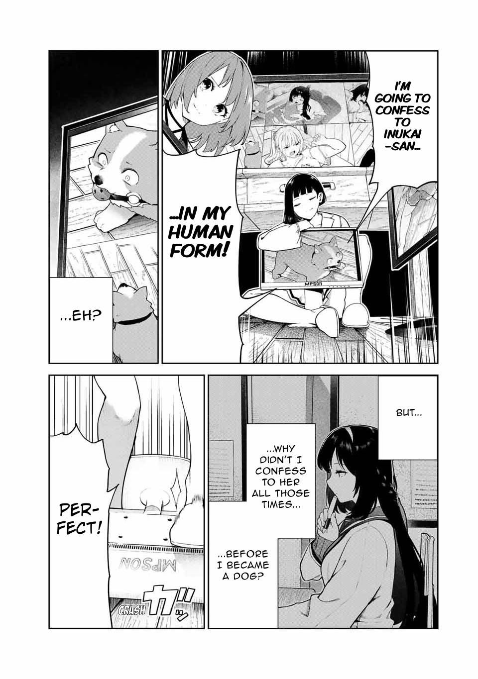 Page 5 of Chapter 17