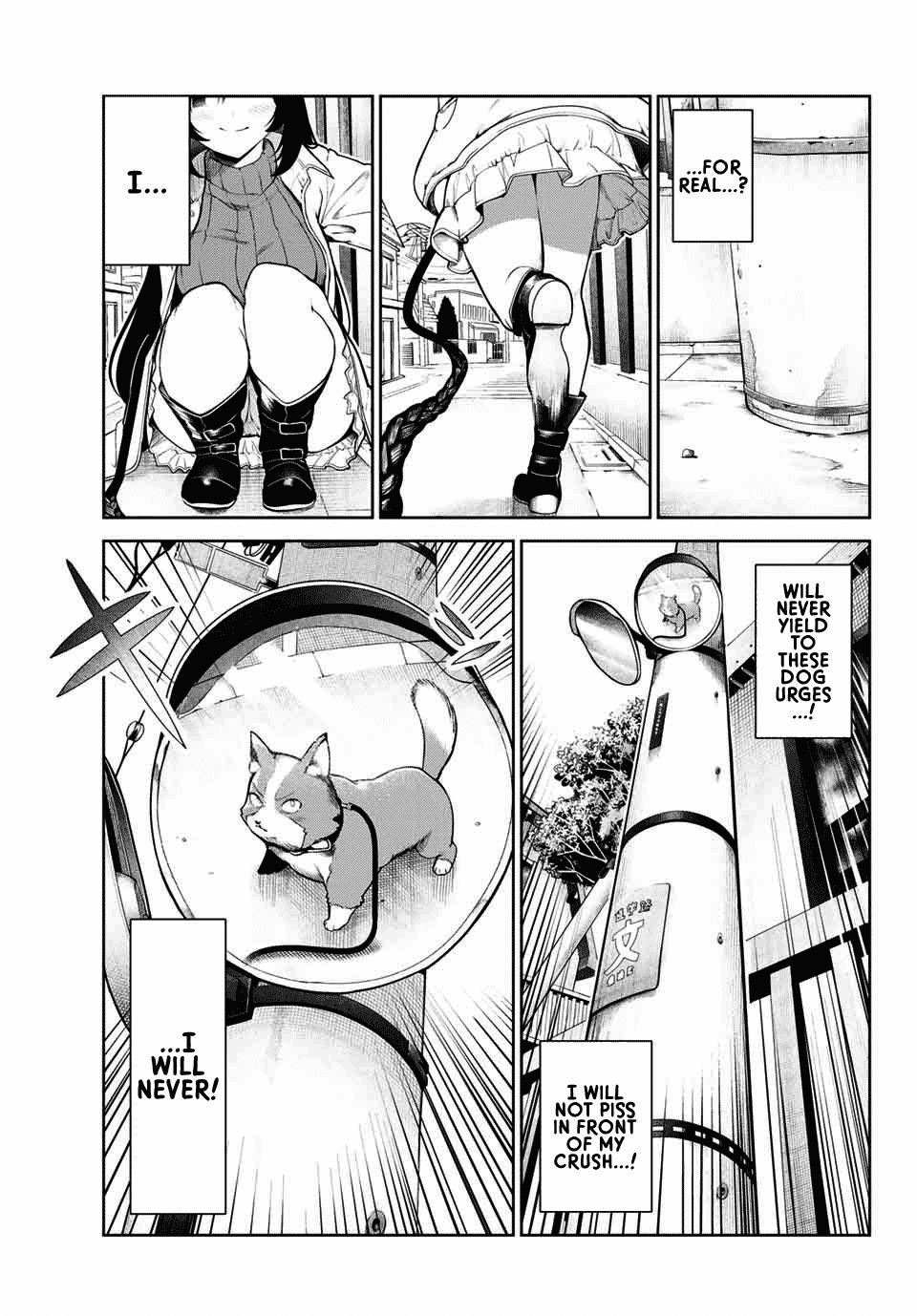 Page 15 of Chapter 2