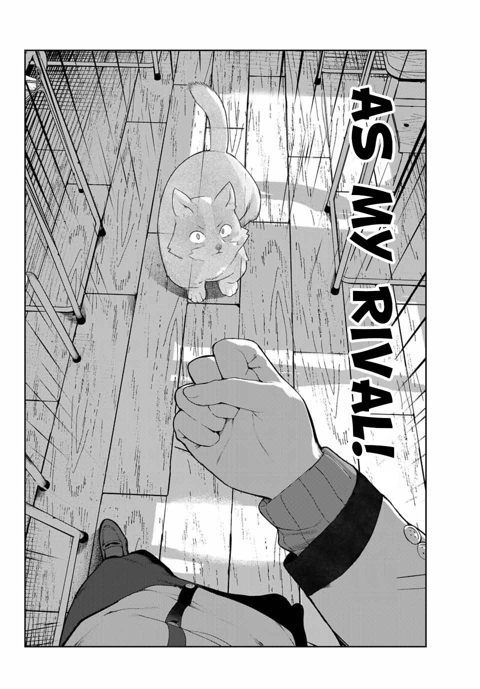 Page 14 of Chapter 20