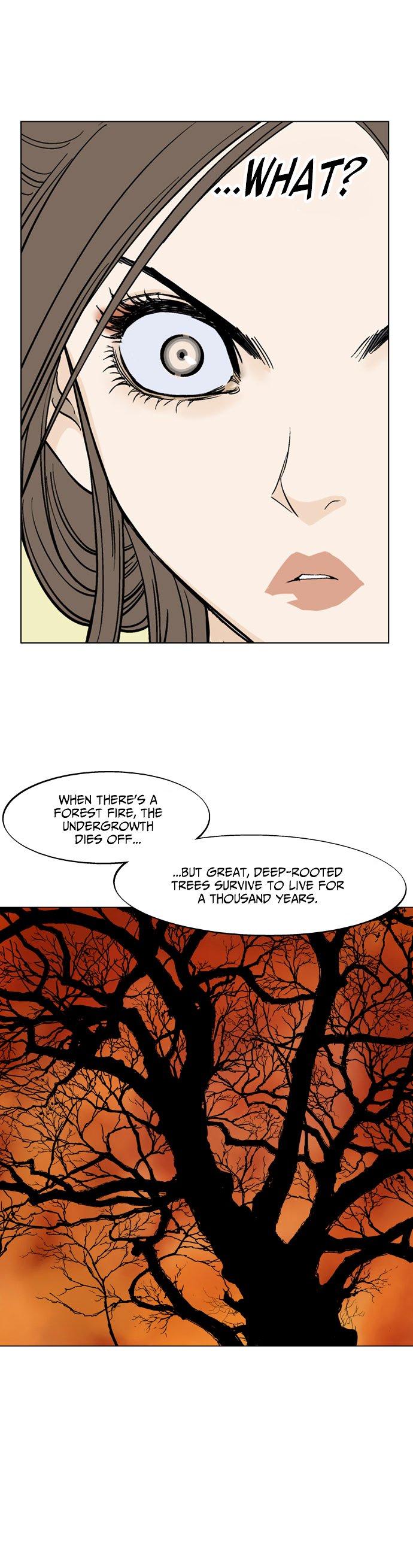 Page 14 of Chapter 33