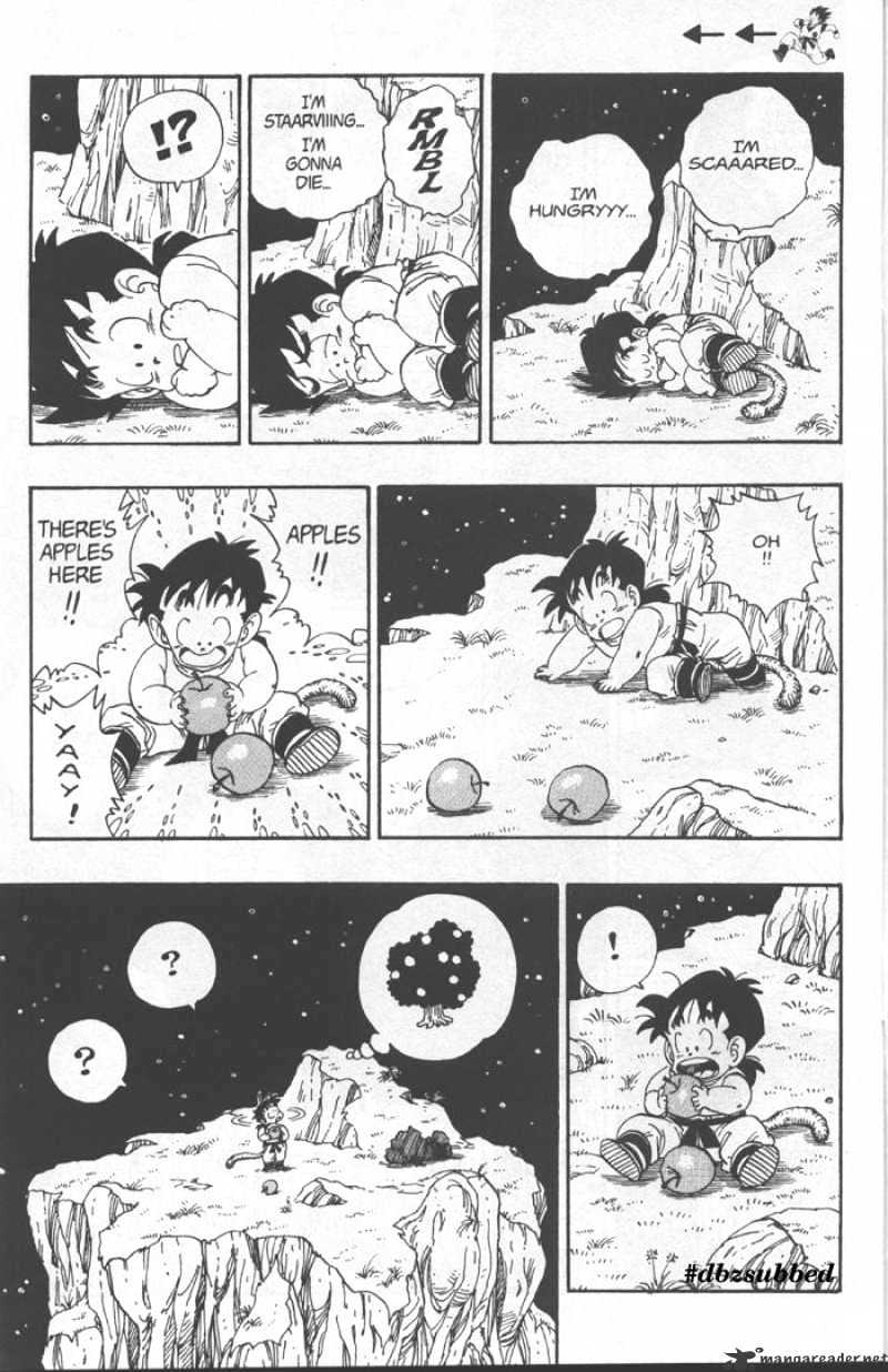Page 13 of Chapter 207