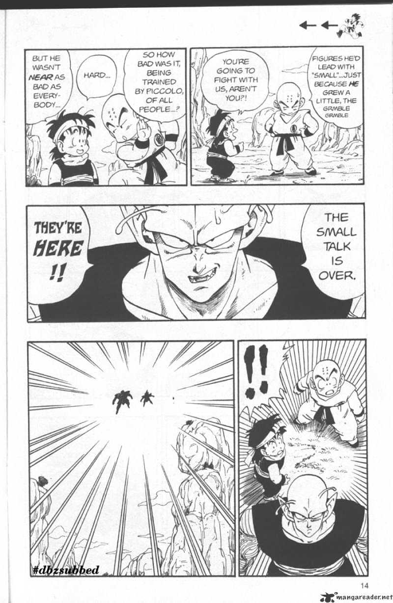 Page 13 of Chapter 213