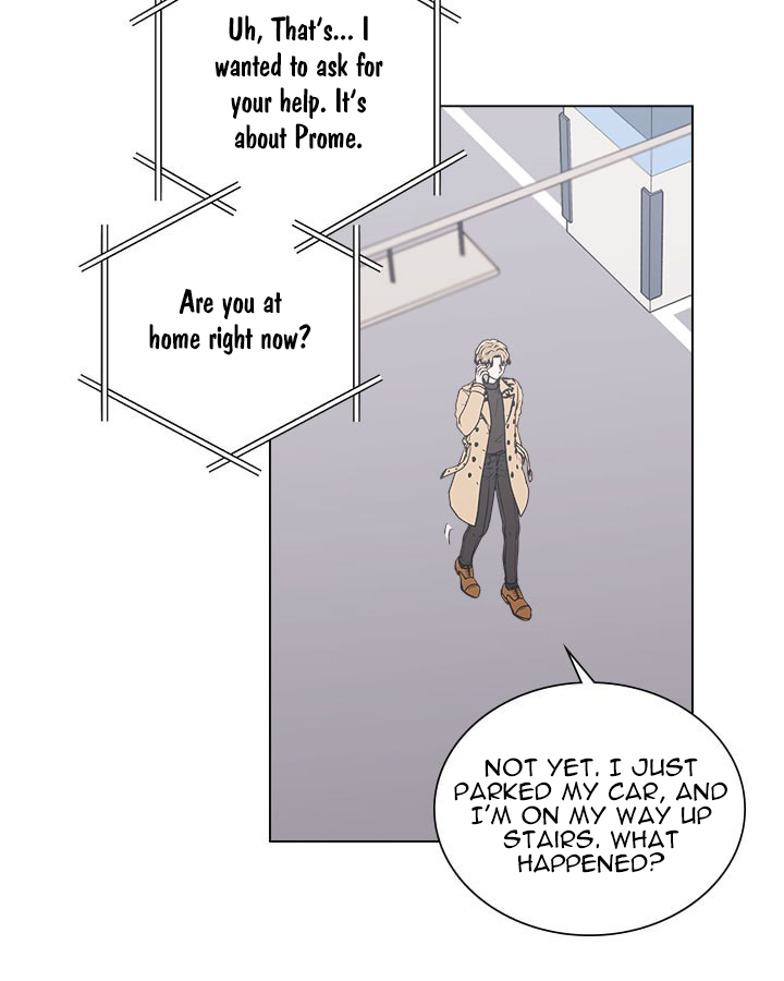 Page 62 of Chapter 11