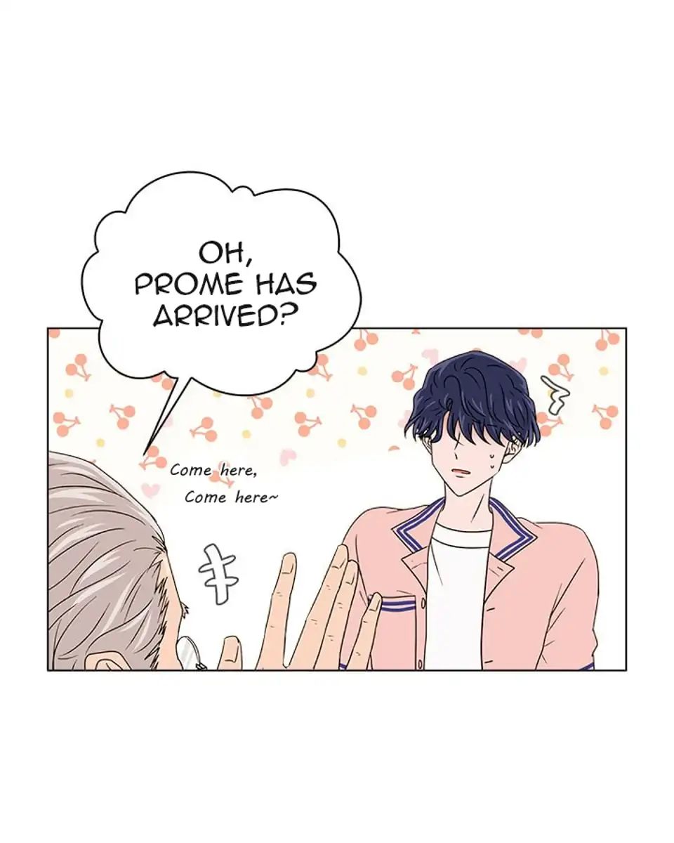 Page 6 of Chapter 20