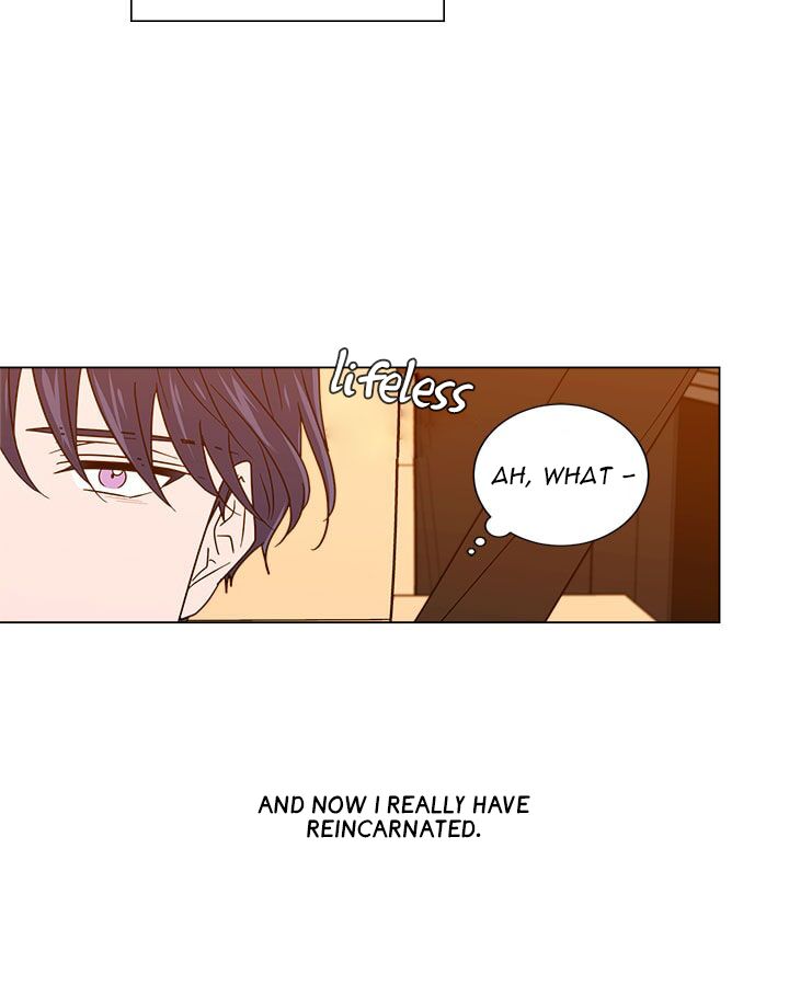 Page 8 of Chapter 4