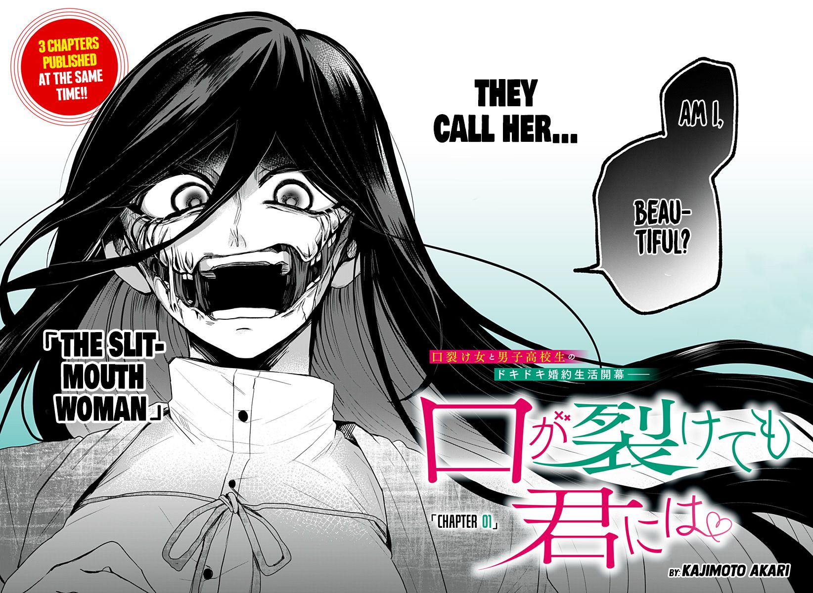 Page 3 of Chapter 1