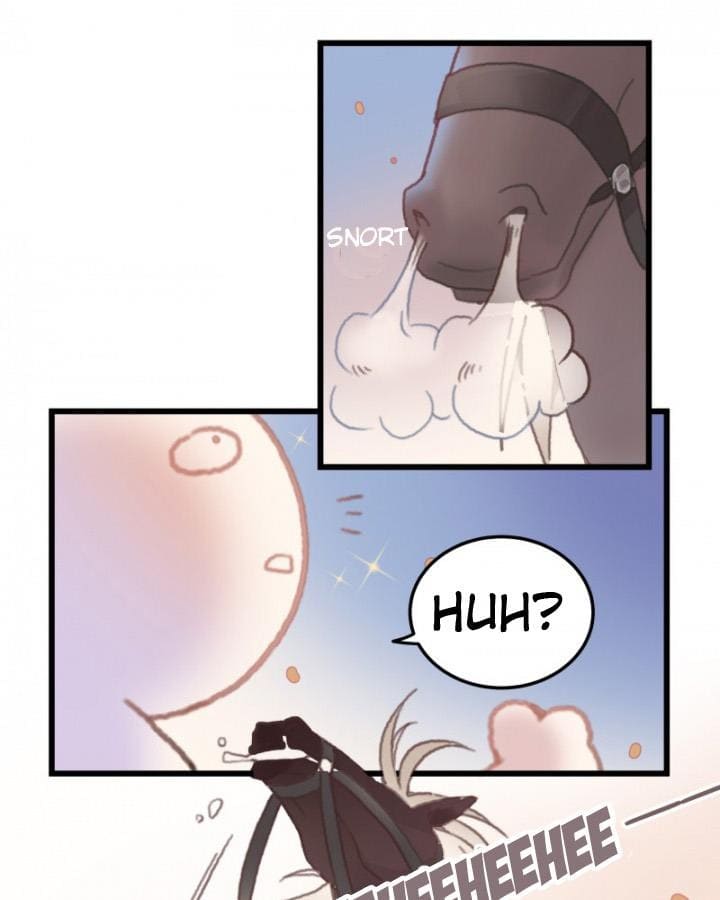 Page 11 of Chapter 13