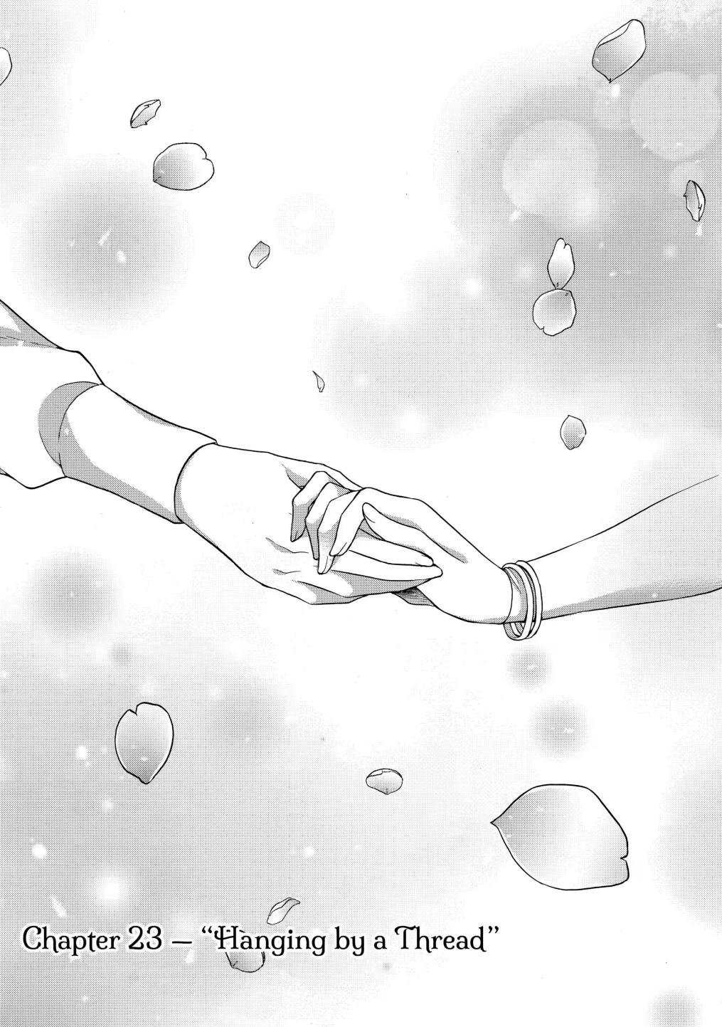 Page 3 of Chapter 23.1
