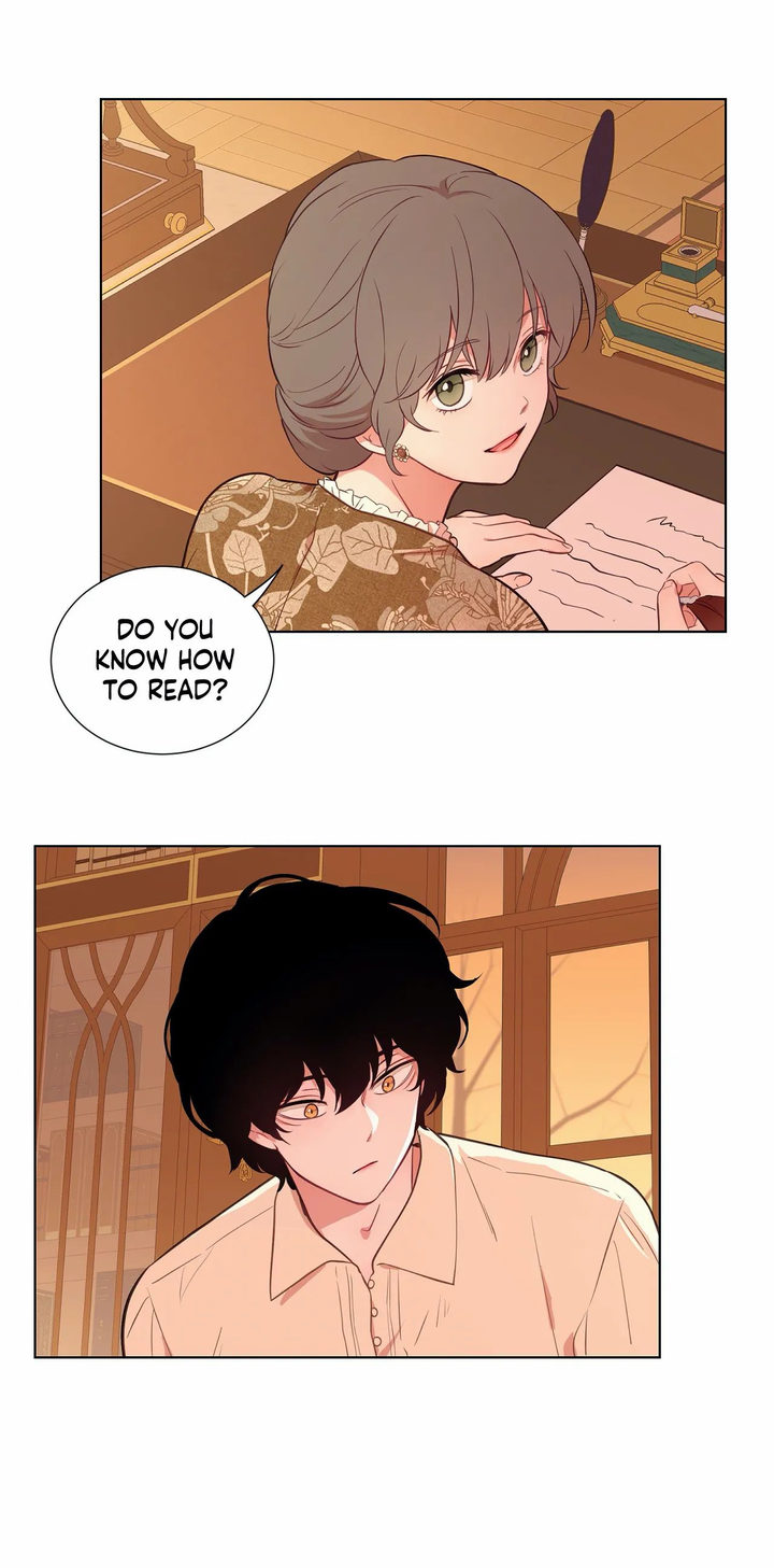 Page 21 of Chapter 29