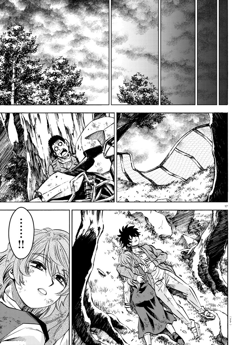 Page 17 of Chapter 205