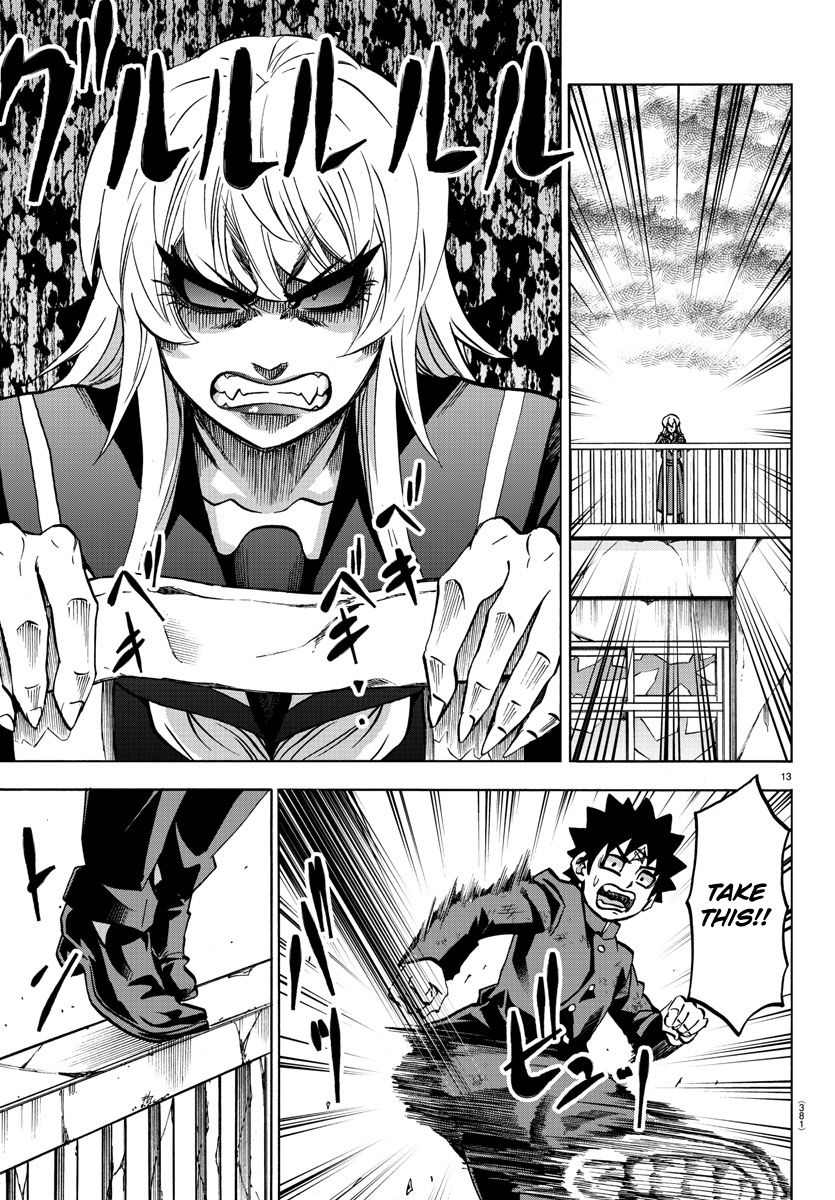Page 13 of Chapter 215