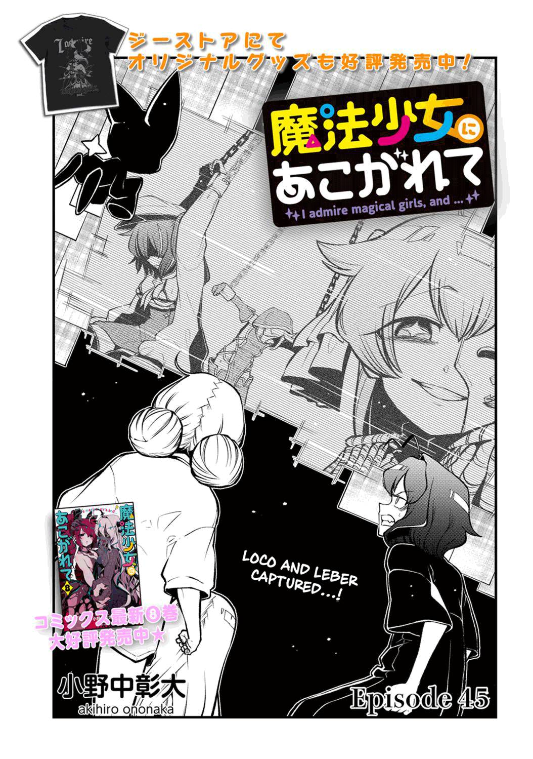 Page 1 of Chapter 45
