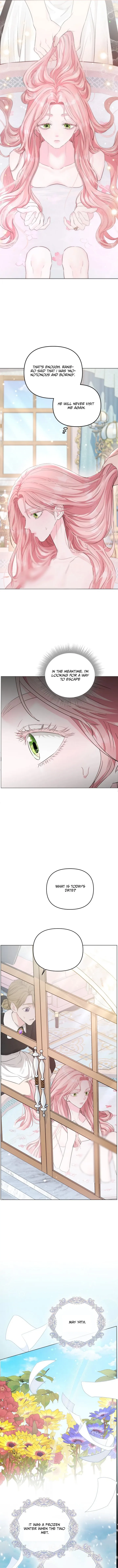 Page 5 of Chapter 3