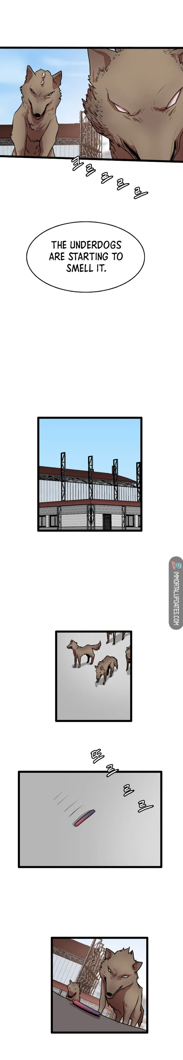 Page 17 of Chapter 81