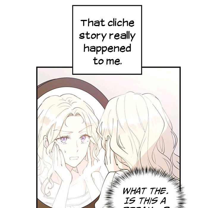 Page 41 of Chapter 1