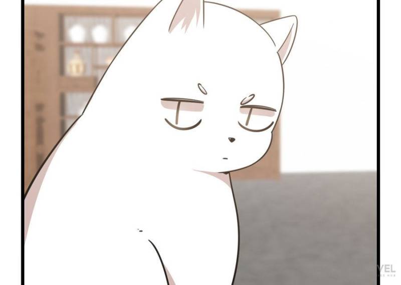 Page 19 of Chapter 137