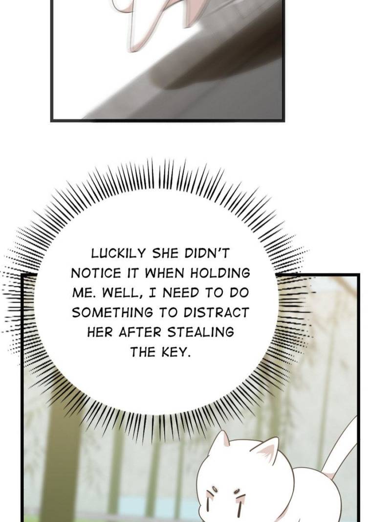 Page 29 of Chapter 138