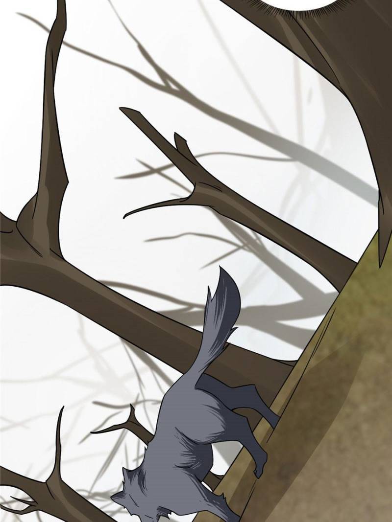 Page 20 of Chapter 156