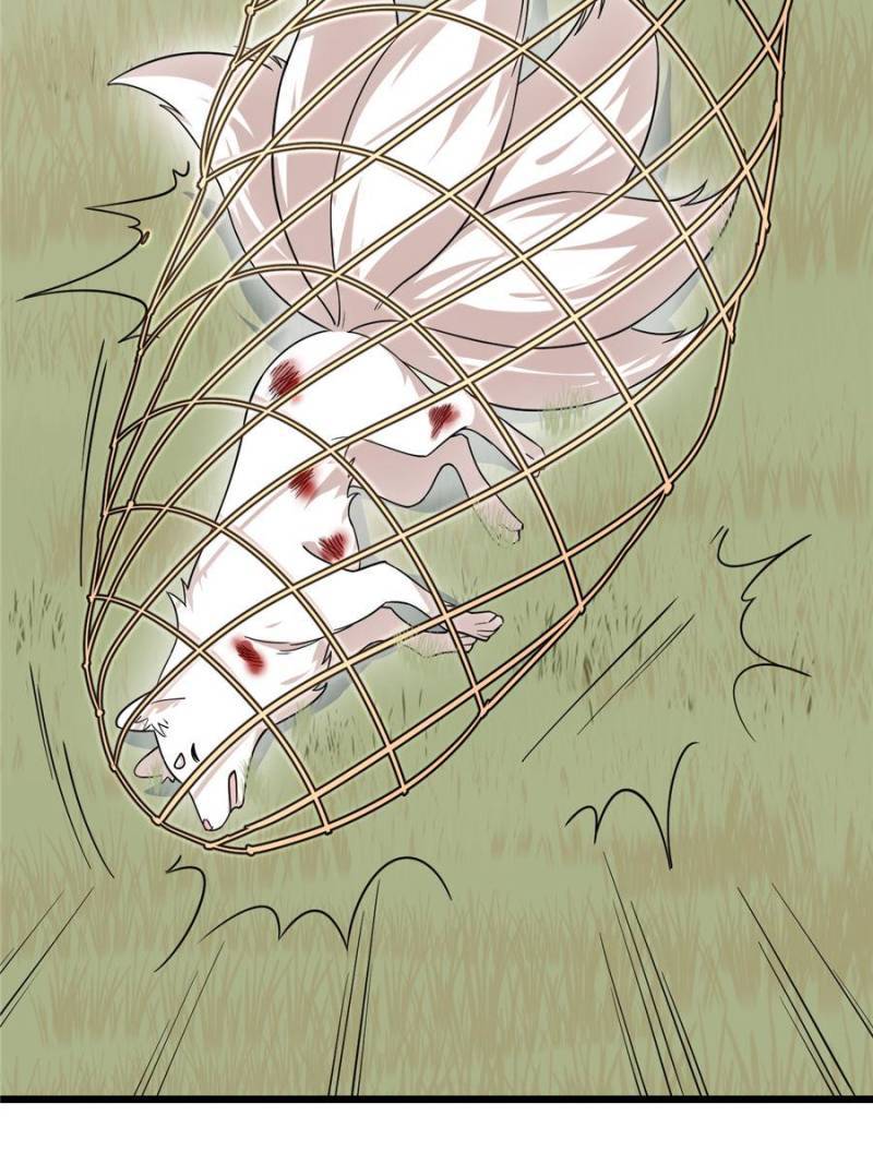 Page 17 of Chapter 195