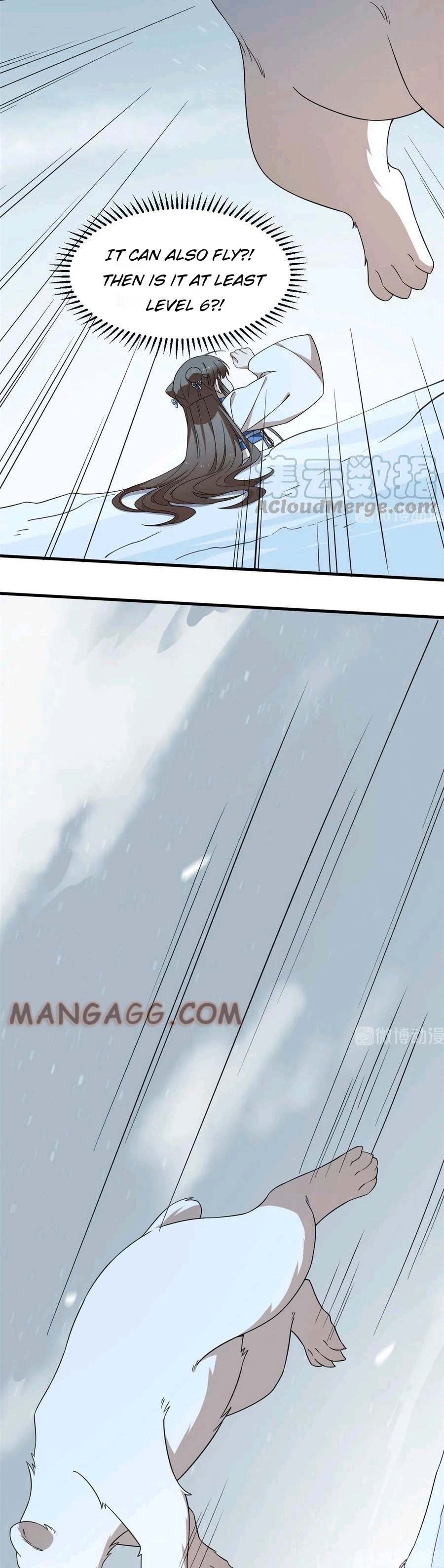 Page 13 of Chapter 206