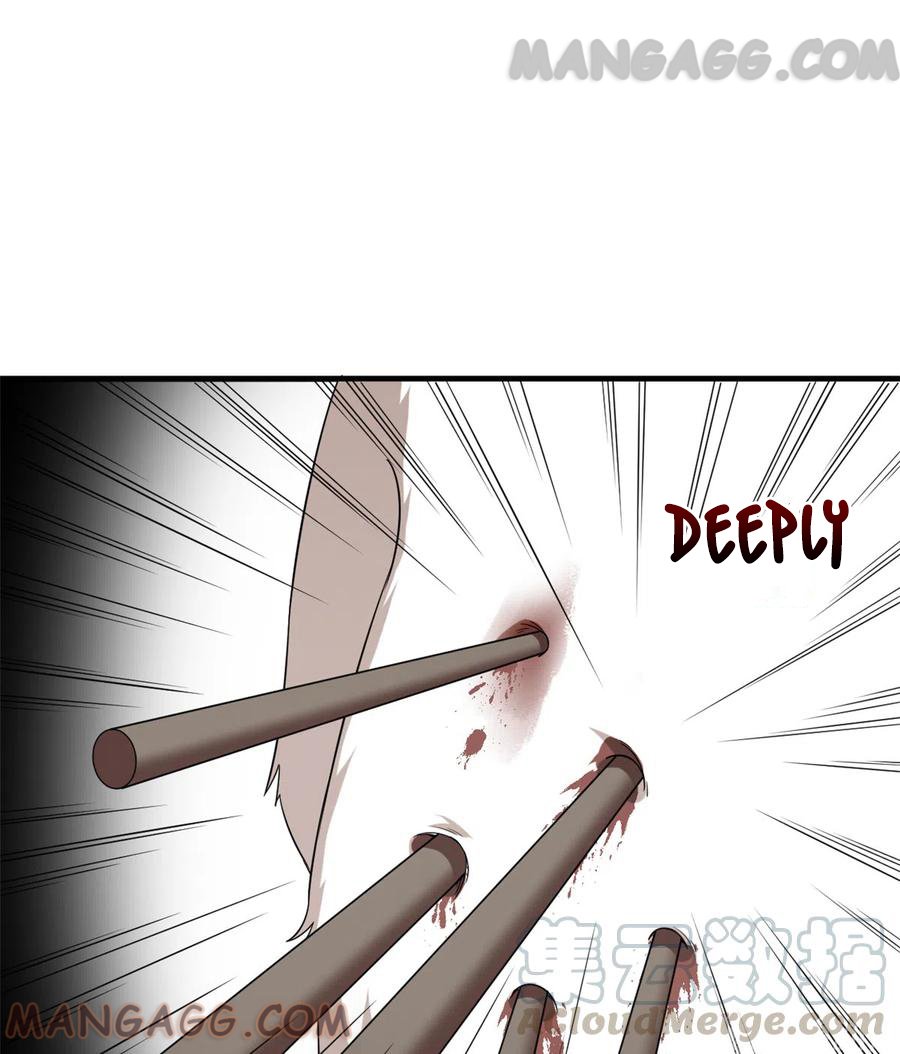 Page 13 of Chapter 208