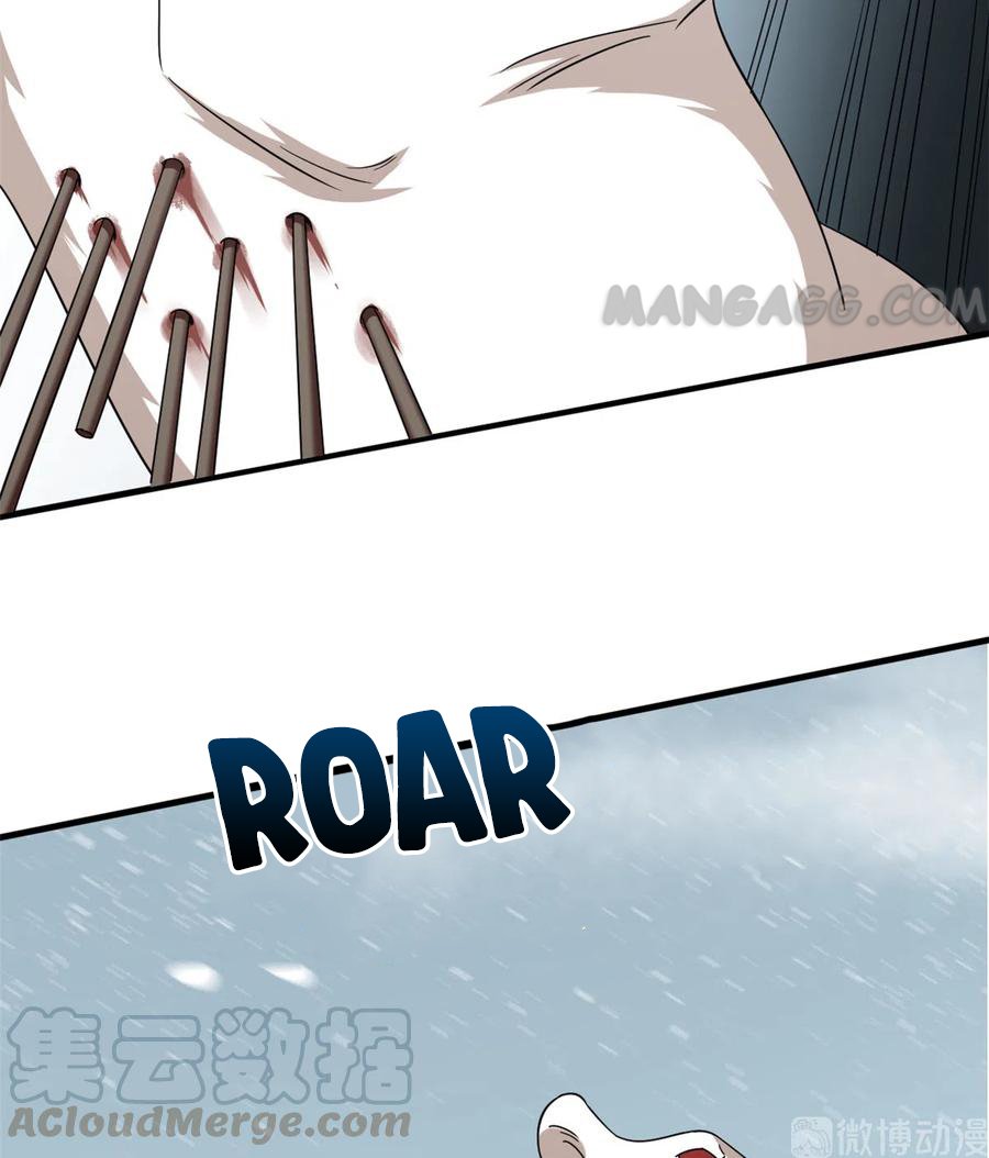 Page 17 of Chapter 208