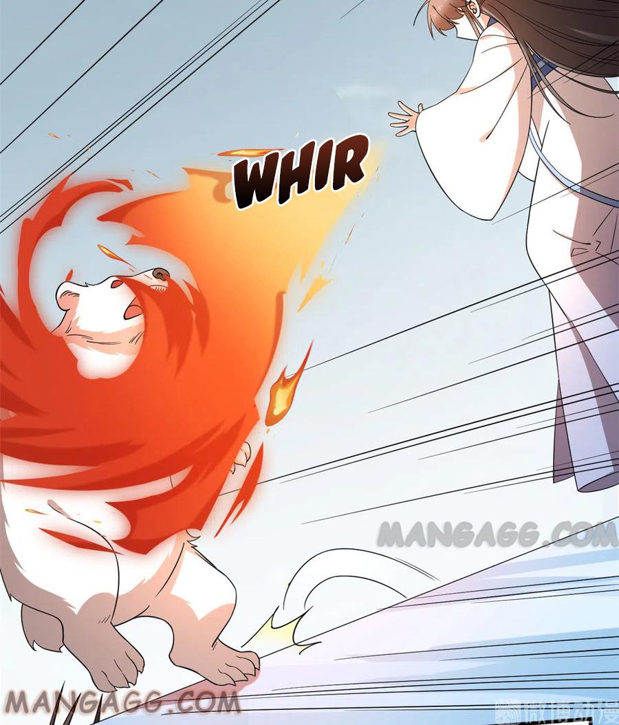 Page 22 of Chapter 208
