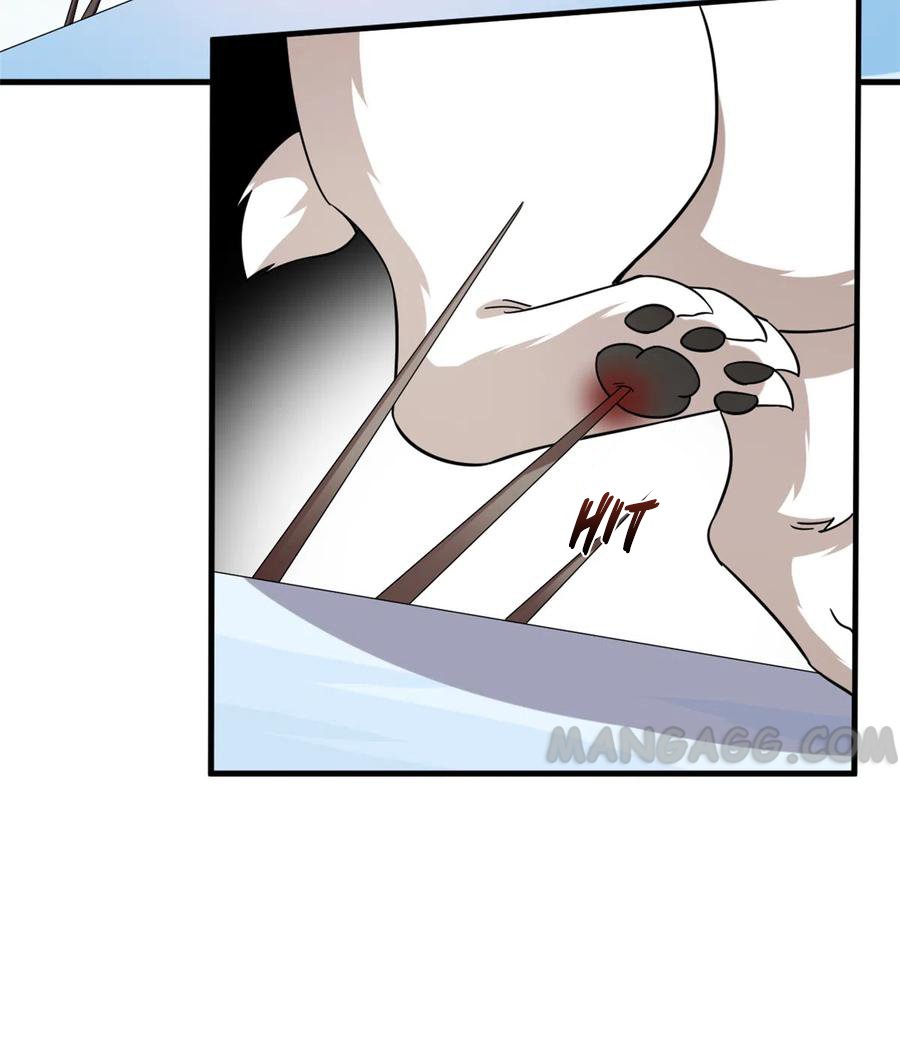 Page 23 of Chapter 208