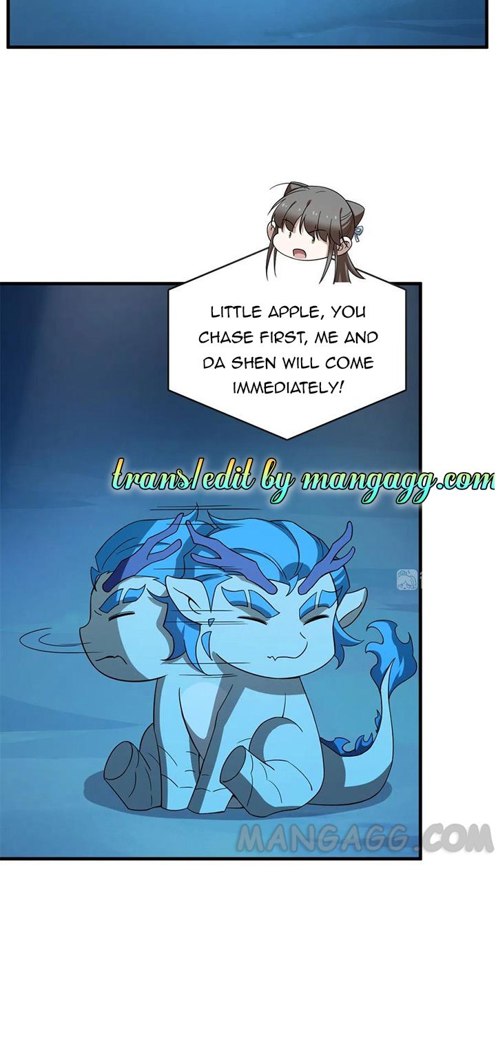 Page 17 of Chapter 209