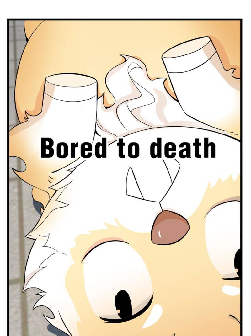 Page 40 of Chapter 22