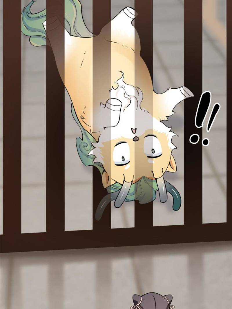Page 44 of Chapter 22