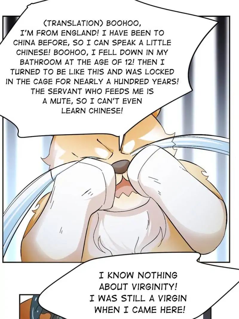 Page 44 of Chapter 3