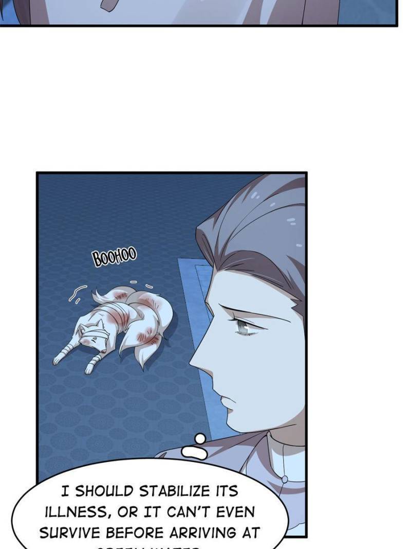 Page 13 of Chapter 316