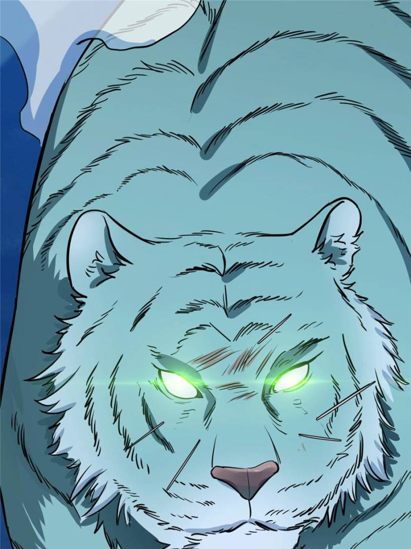 Page 62 of Chapter 33