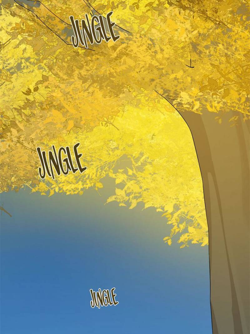 Page 4 of Chapter 335