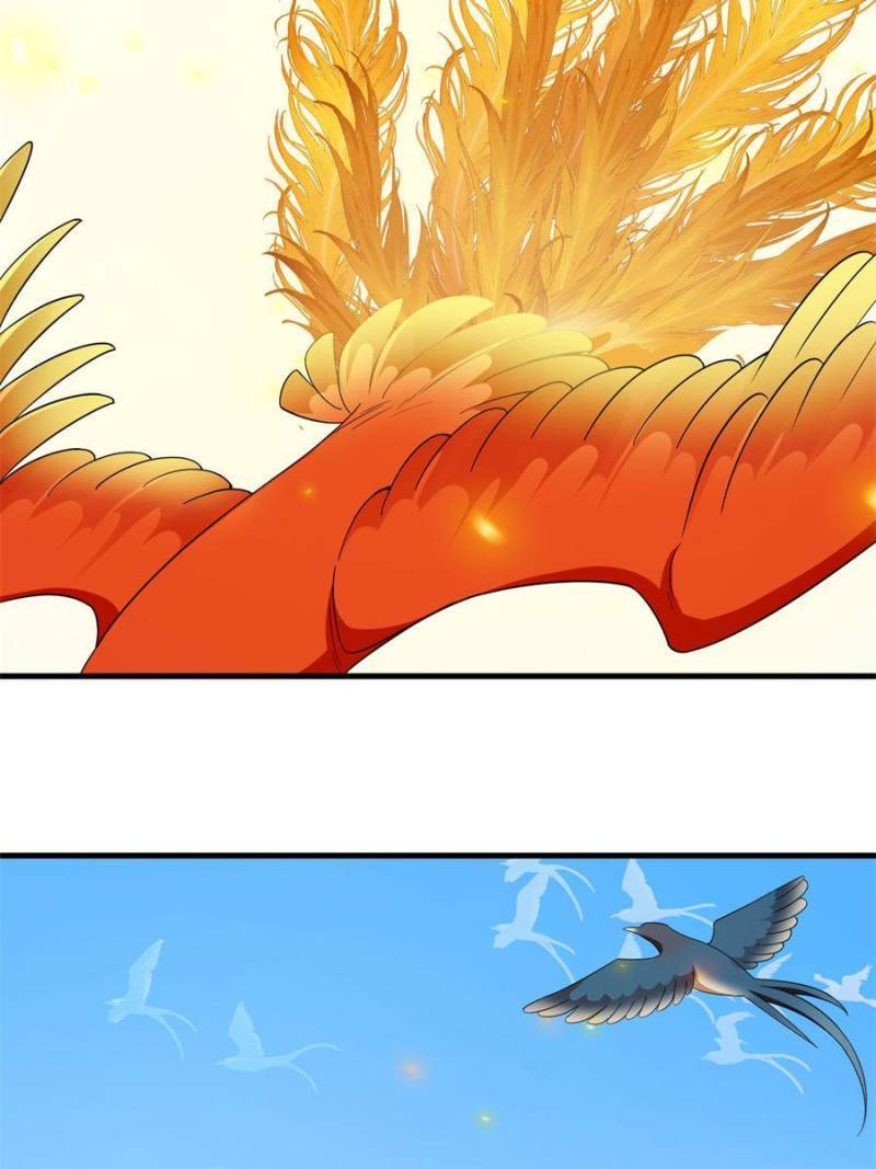 Page 40 of Chapter 338