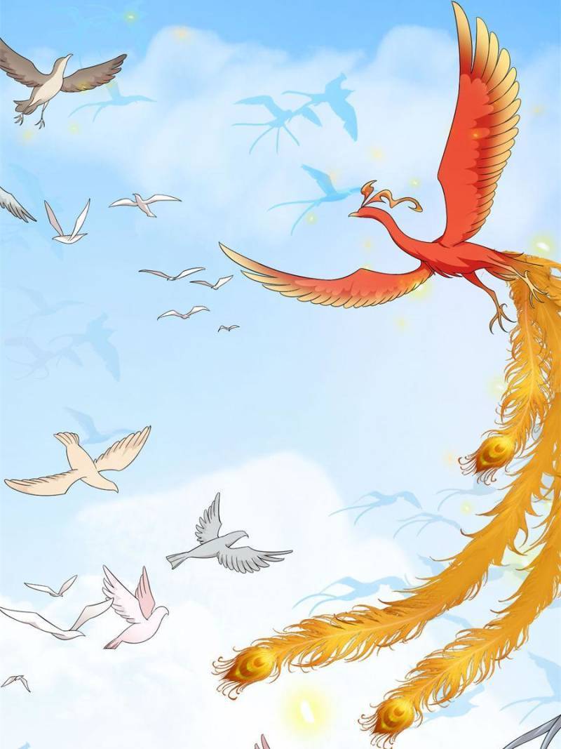 Page 41 of Chapter 338