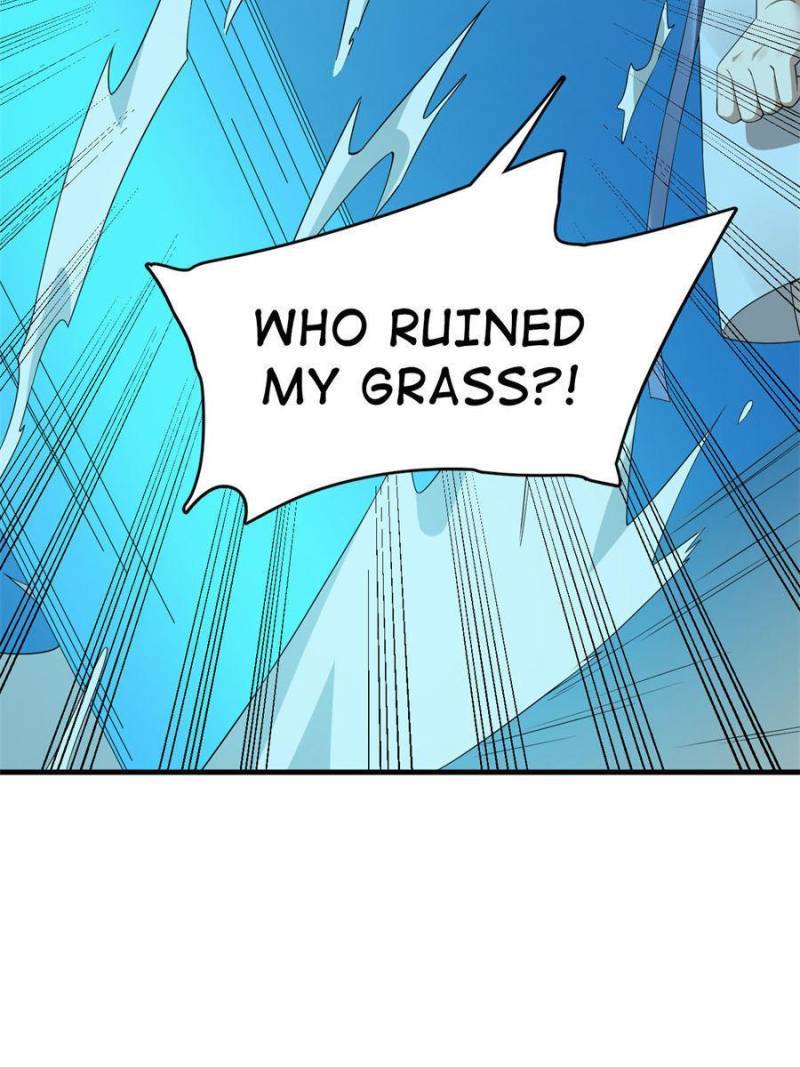 Page 47 of Chapter 397